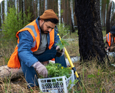 Tree Service website