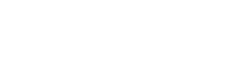 Fleexstudio logo