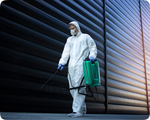 Pest Control Website Design Company